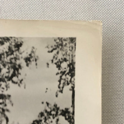 Vintage Movie Still Photo Photograph Print Dan Dailey Dennis Day June Haver