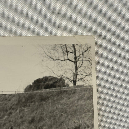 Vintage Italian Circus Act Press Photo Photograph Beautiful Women Balancing Act