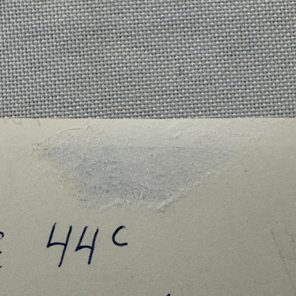 Circus Roller Skating Act Photo Photograph Print Vintage 3 Miehes