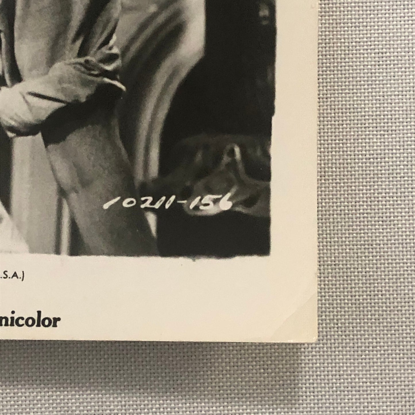 Katharine Hepburn Actress Photo Photograph Print Movie Still The Rainmaker 1956