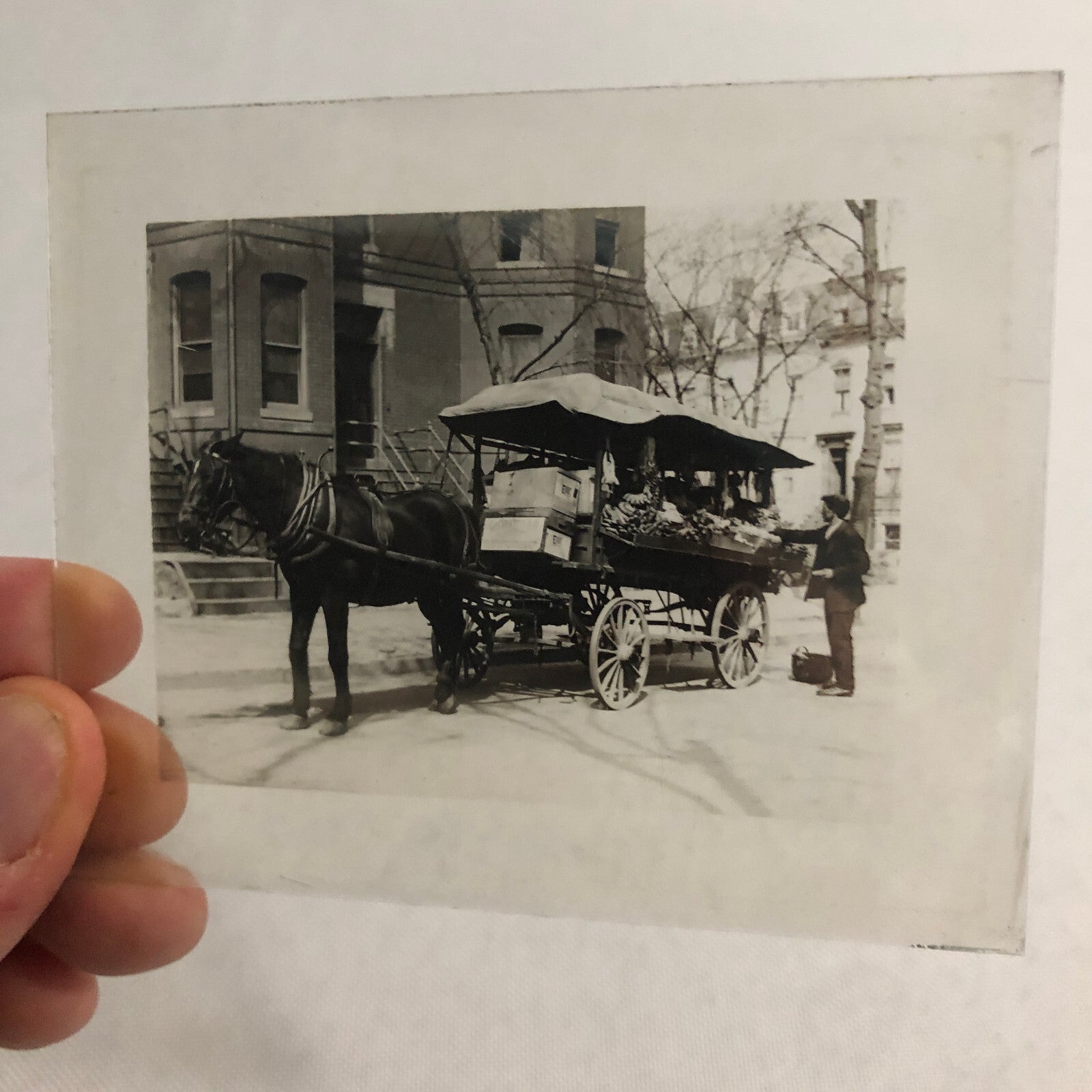 Antique Glass Plate Lantern Slide Photo Horse Drawn Wagon Vendor Cart