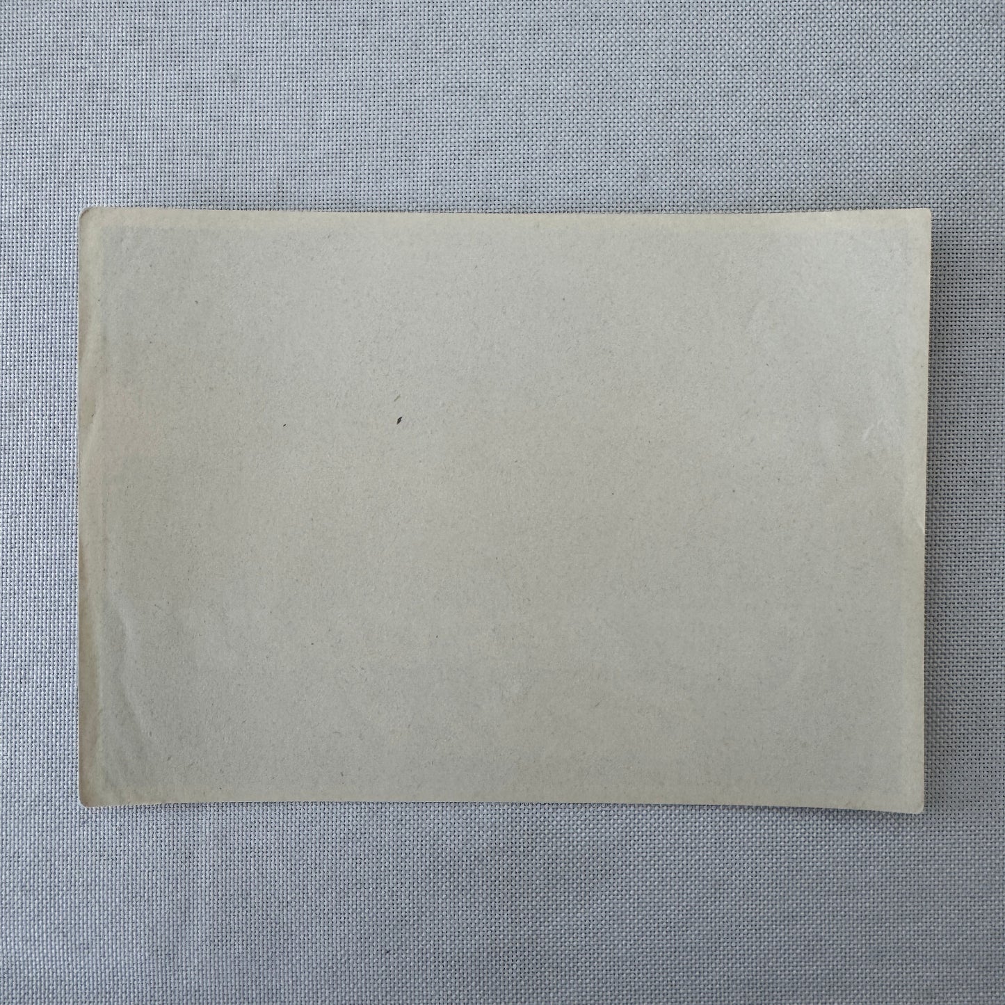 Vintage Travel Luggage Label Les Bergues Geneve Geneva Switzerland Swiss Suisse