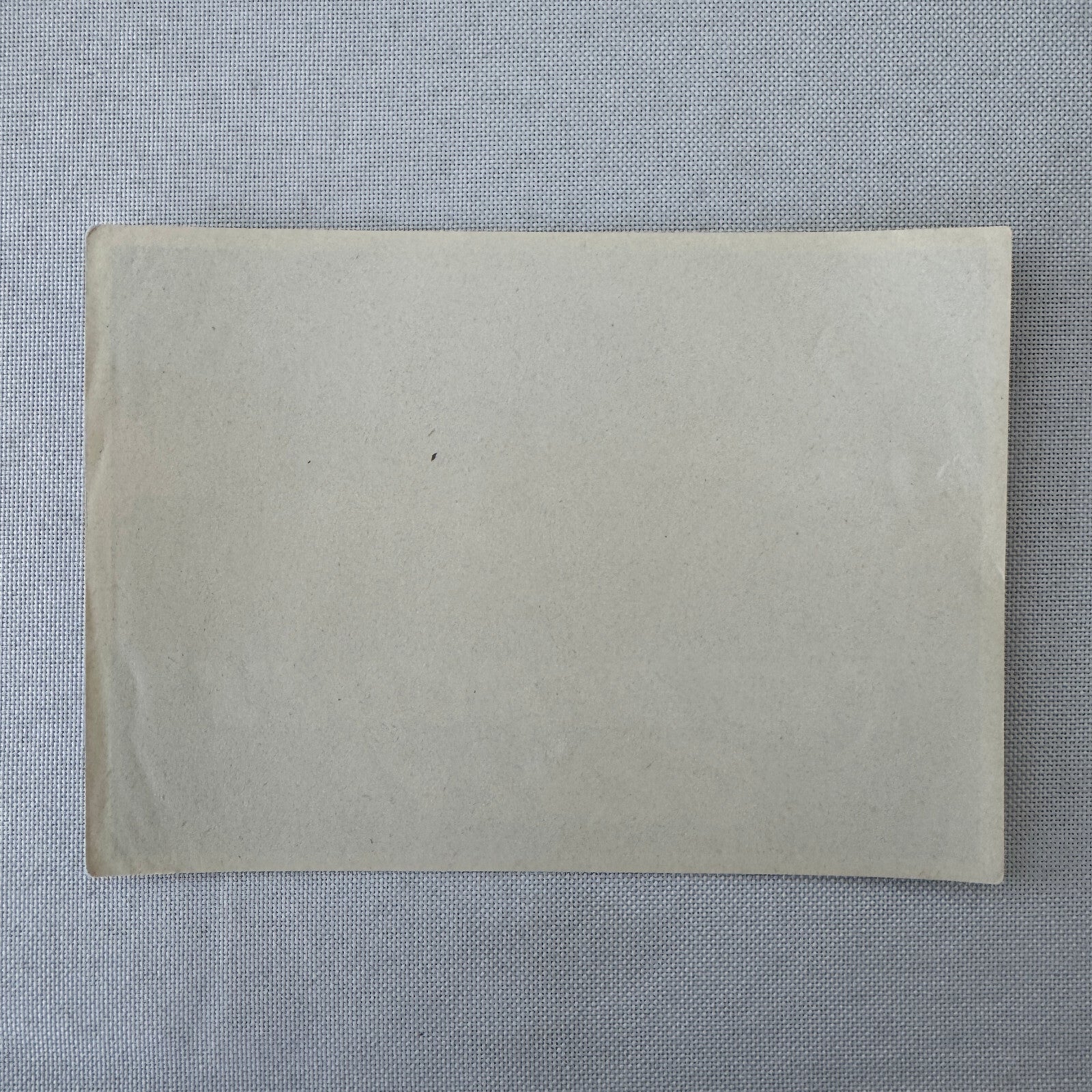 Vintage Travel Luggage Label Les Bergues Geneve Geneva Switzerland Swiss Suisse