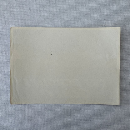 Vintage Travel Luggage Label Les Bergues Geneve Geneva Switzerland Swiss Suisse