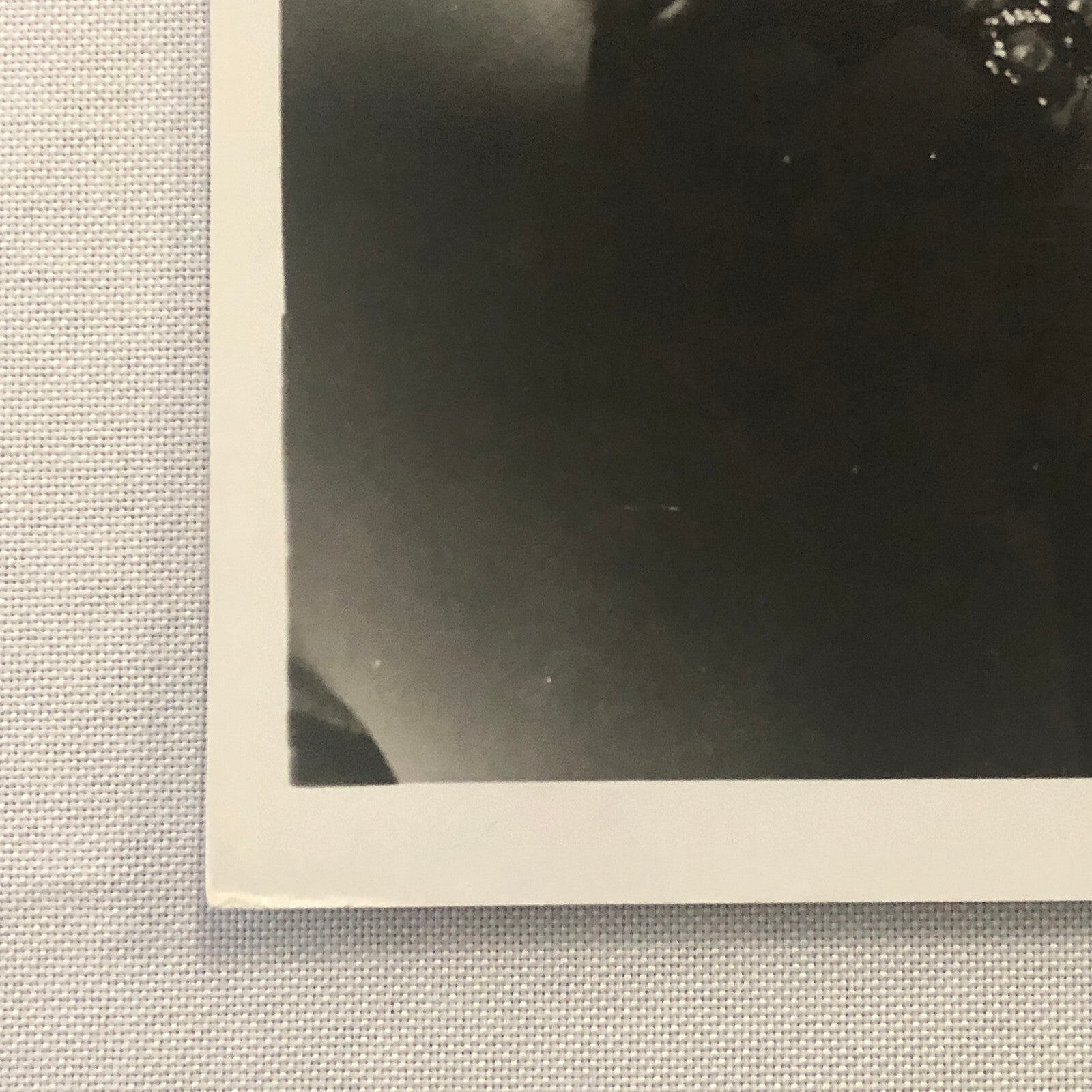 Lana Turner The Sea Chase Movie Still Photo Photograph