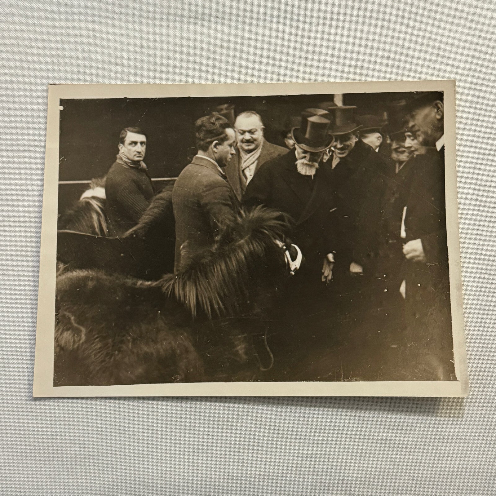 French President Paul Doumer at Bird Show Pony Press Photo Photograph France