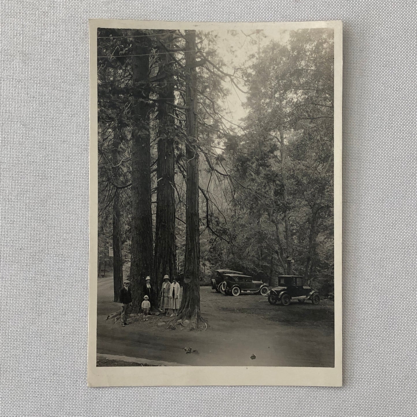 Vintage Photo Photograph Print Family Cars Automobile 1926 Ford Model T Packard 