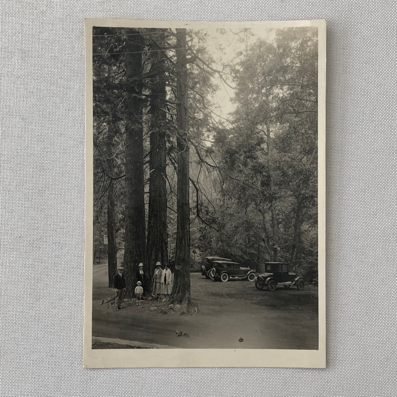 Vintage Photo Photograph Print Family Cars Automobile 1926 Ford Model T Packard 