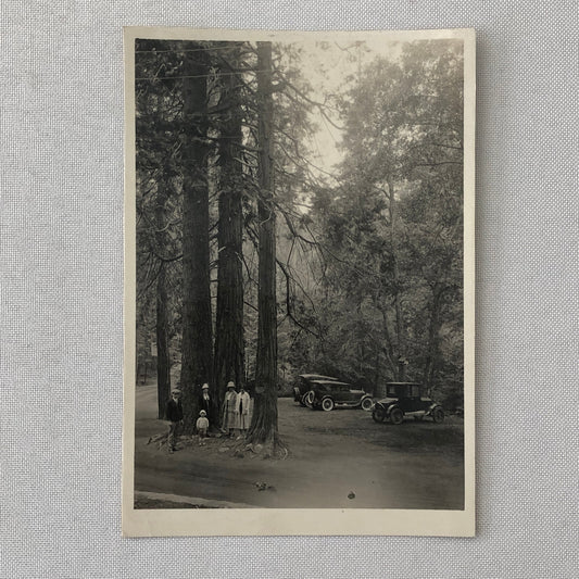 Vintage Photo Photograph Print Family Cars Automobile 1926 Ford Model T Packard 
