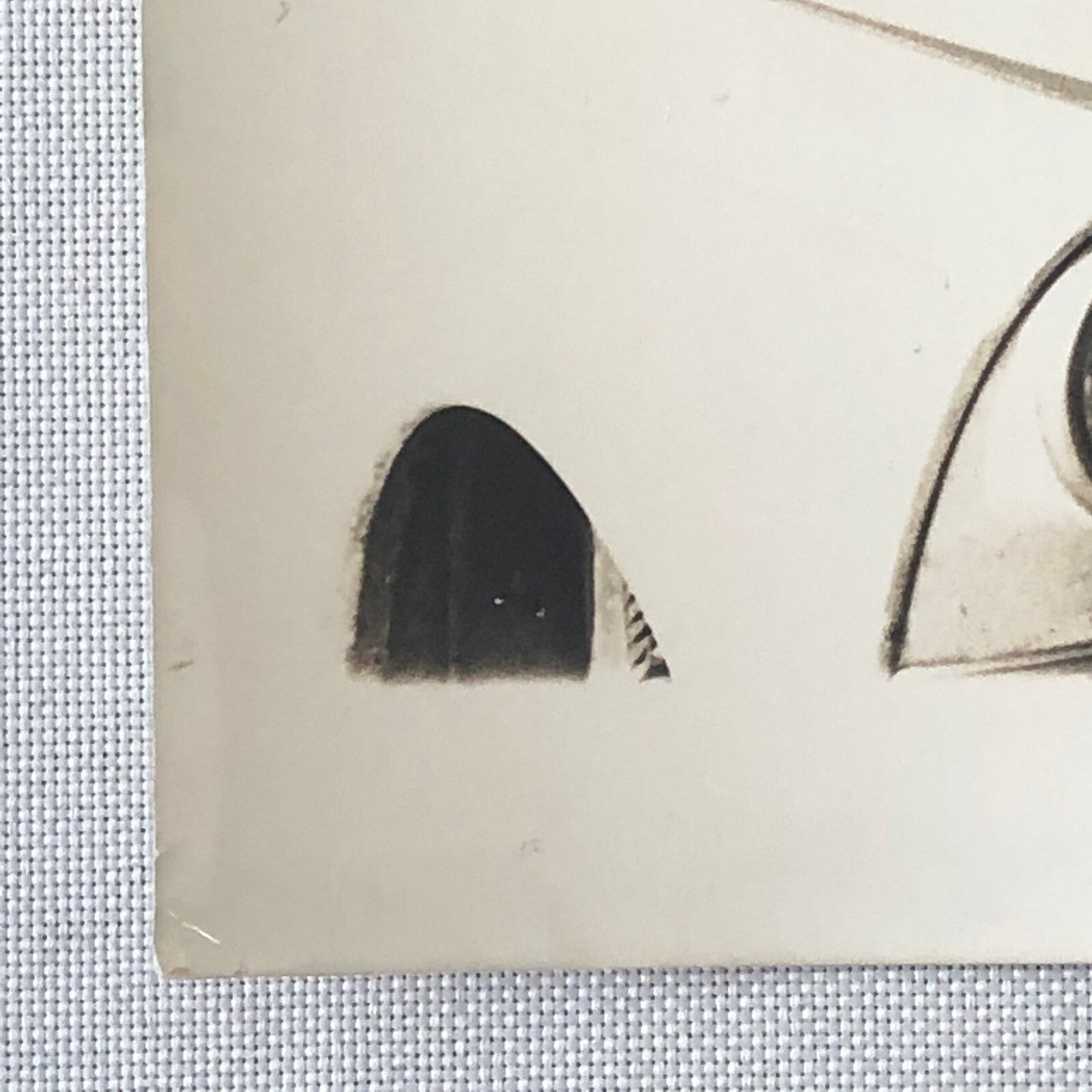 1964 Rallye Monte Carlo Rally DKW Audi Car Press Photo