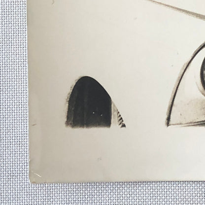 1964 Rallye Monte Carlo Rally DKW Audi Car Press Photo