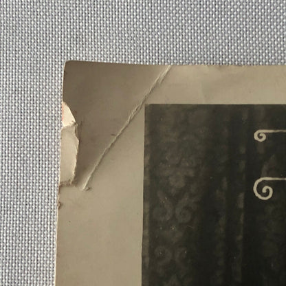 Circus or Dance Performer Photo Photograph Dancer Acrobat Geschwister Darras