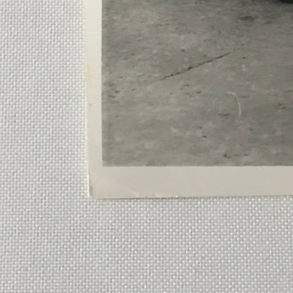 Vintage Brabham Martini Racing Car Photo Photograph 