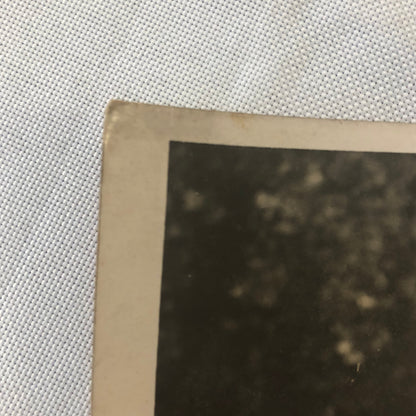 Fashion Press Photo Photograph London High Society Swimming Party 1933 Dresses