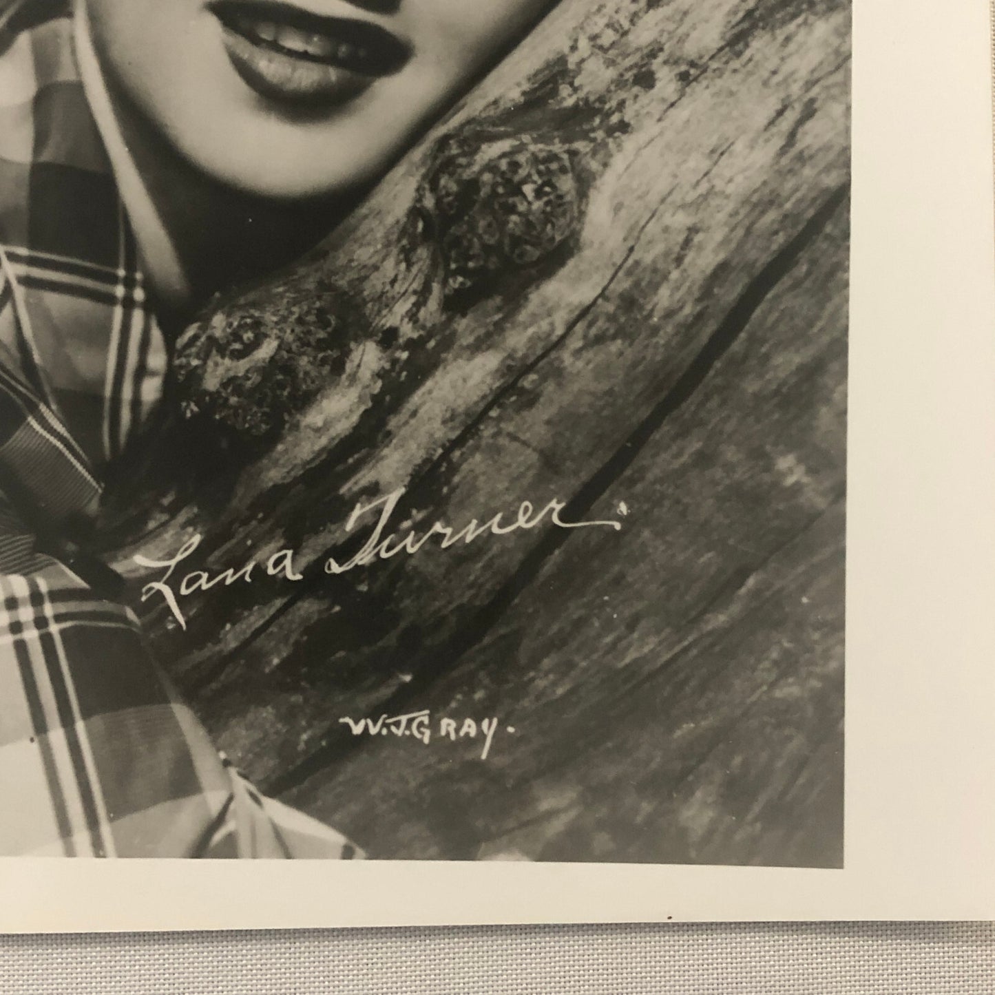 Lana Turner Photo Photograph Print Actress Movie Film