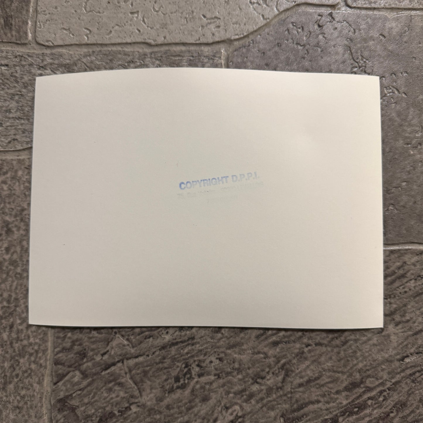 1980 RAC Rally Rallye Car Racing Photo Photograph Vintage Car