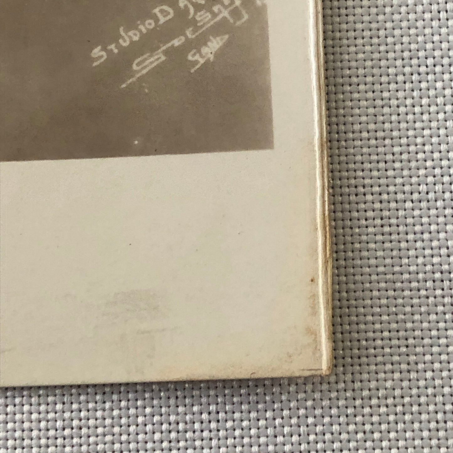 Circus Performer Photo Photograph Print Portrait Woman Vintage