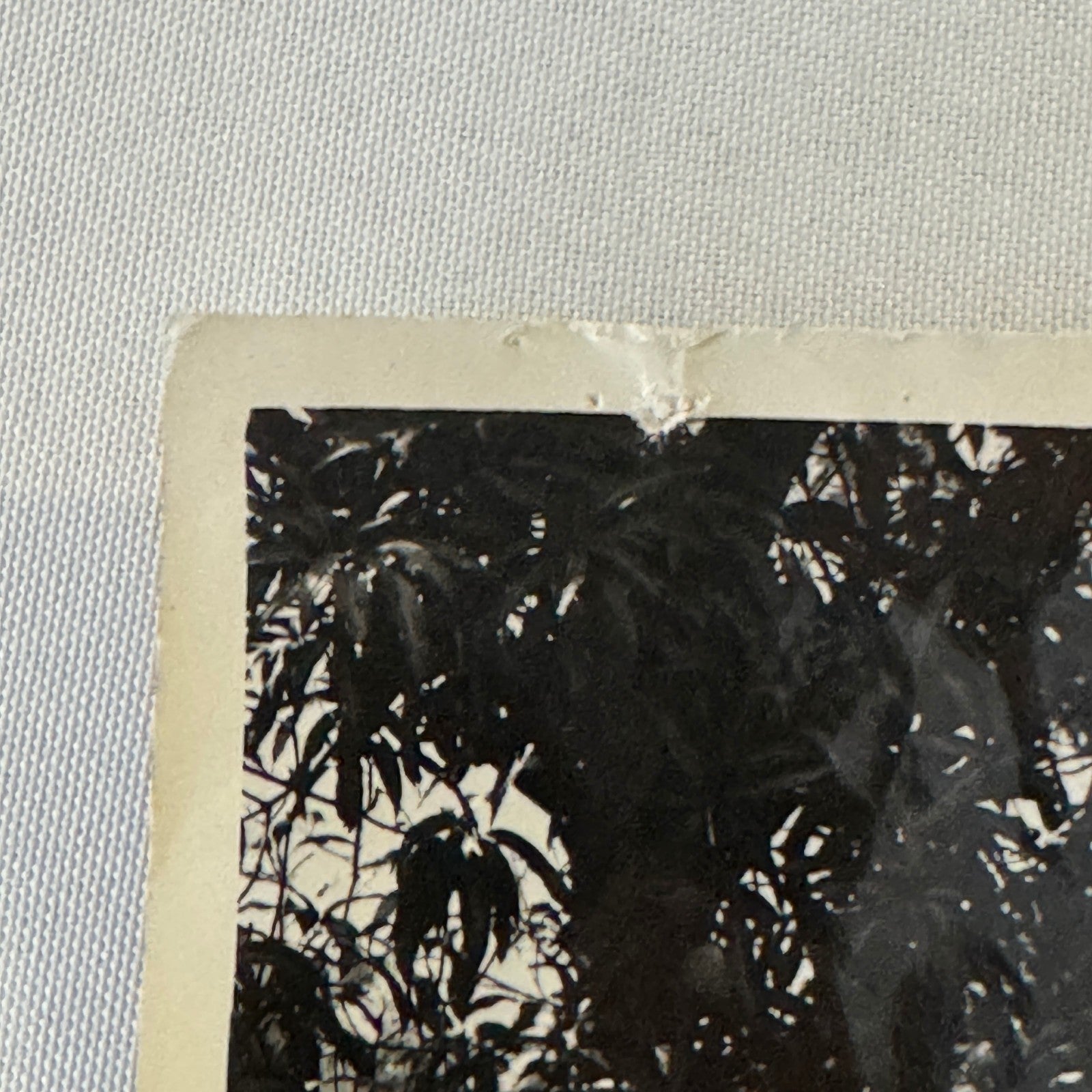 Vintage Car Photo Photograph Print Classic Automobile