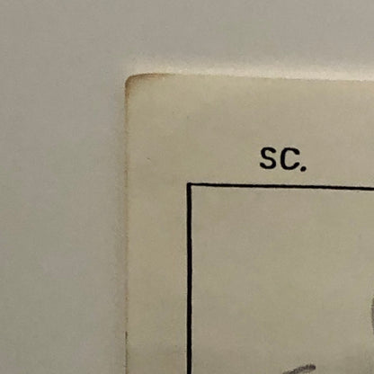 ANIMANIACS Animation Storyboard Illustration Drawing Sketch Story Board Art