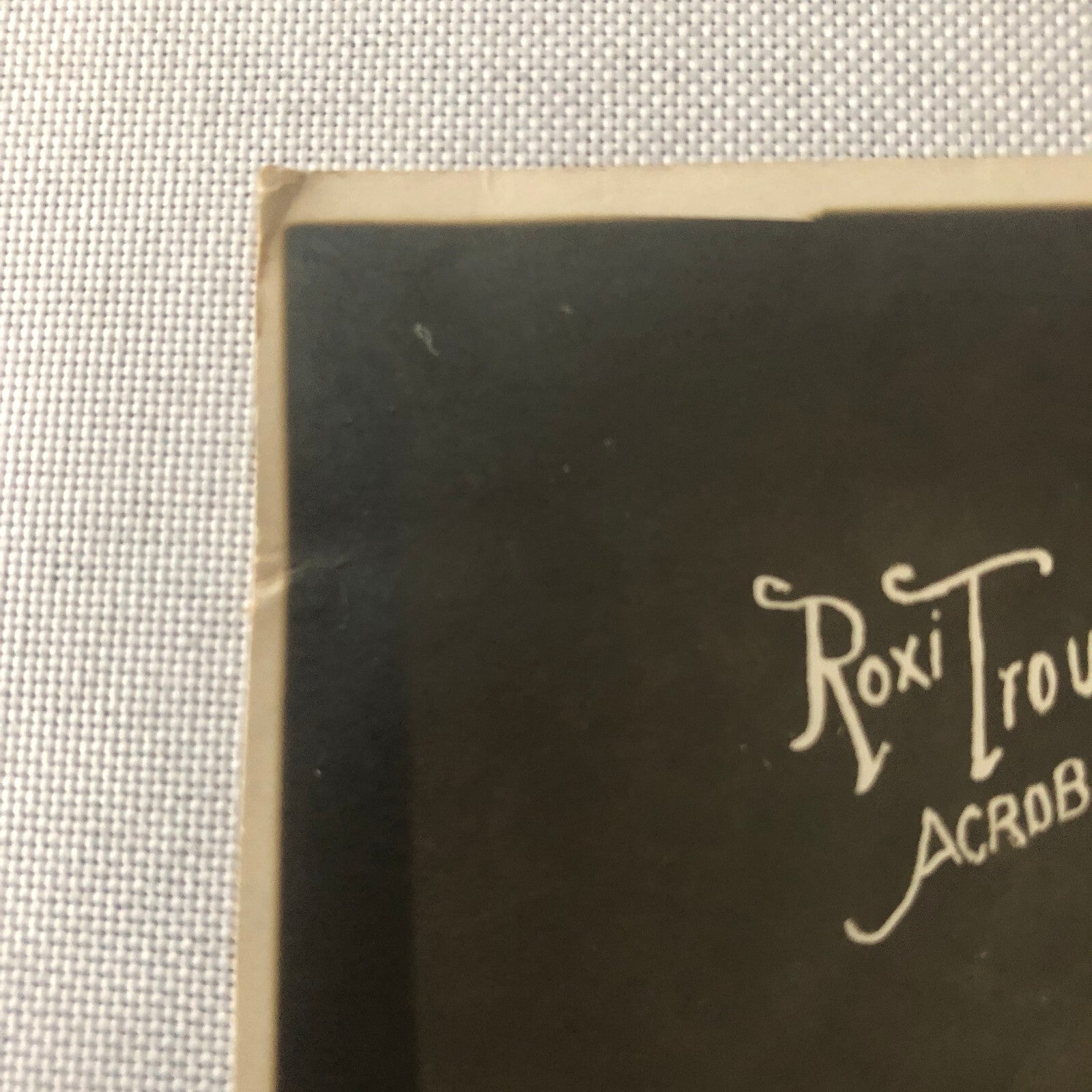 Circus Performer Acrobat Act Photo Photograph Vintage Roxi Troupe Acrobats