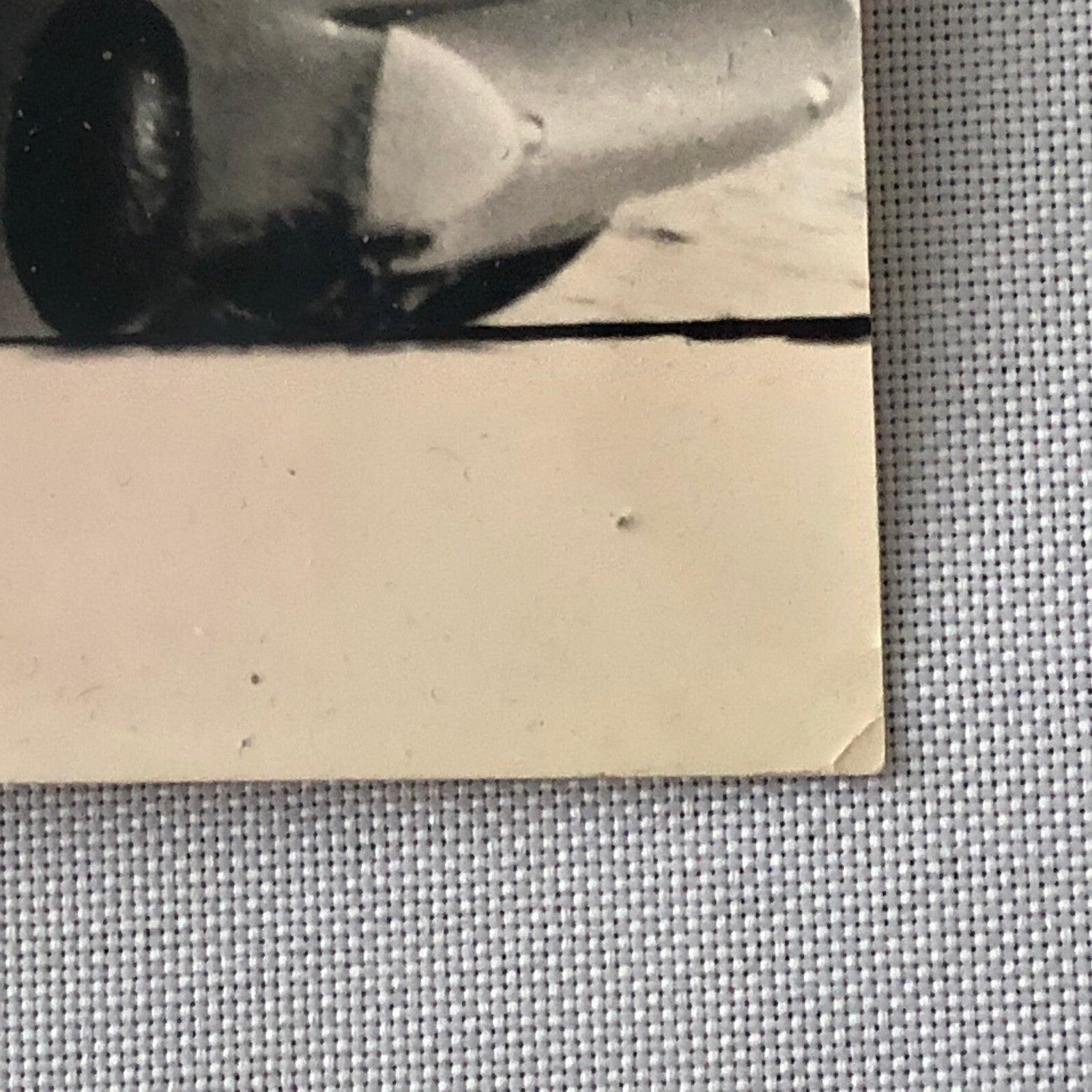 Vintage Renault Alpine Rally Racing DPPI Press Photo Photograph Print