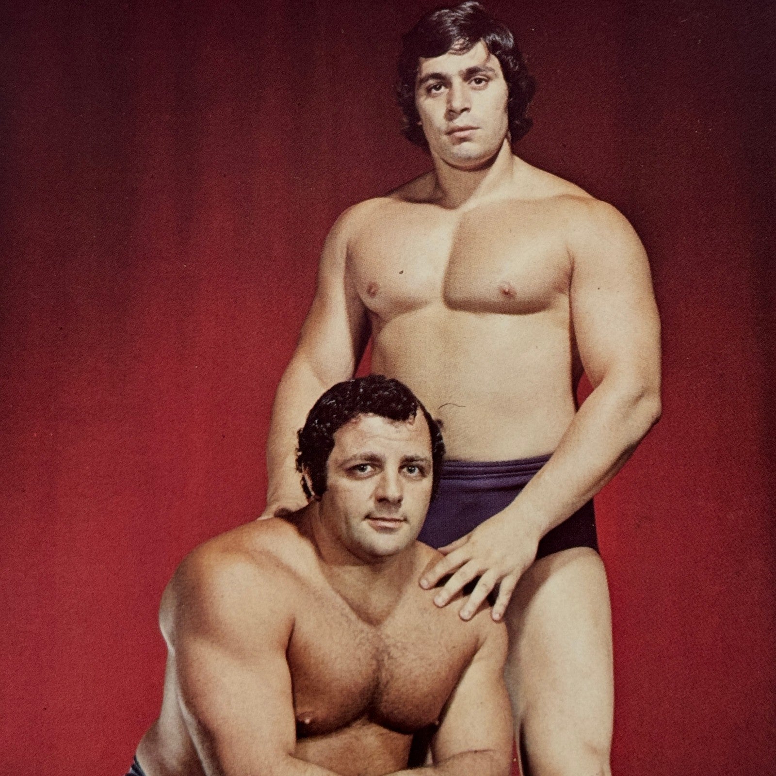 Vintage Wrestling Print Insert Dino Bravo Gino Brito Quebec French 1973