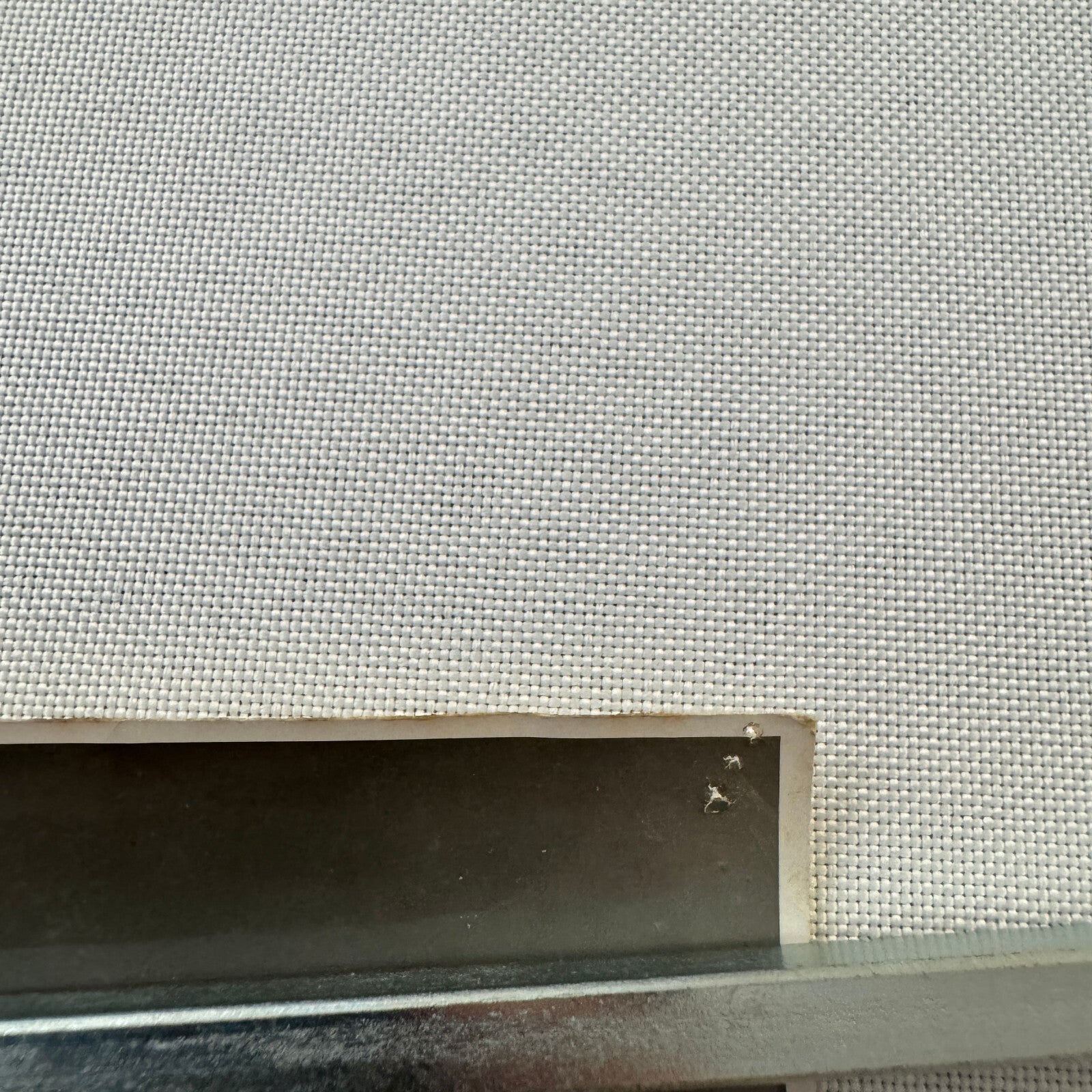 Vintage Circus Photo Les Rowlers Rollerskating Act Performer Photograph