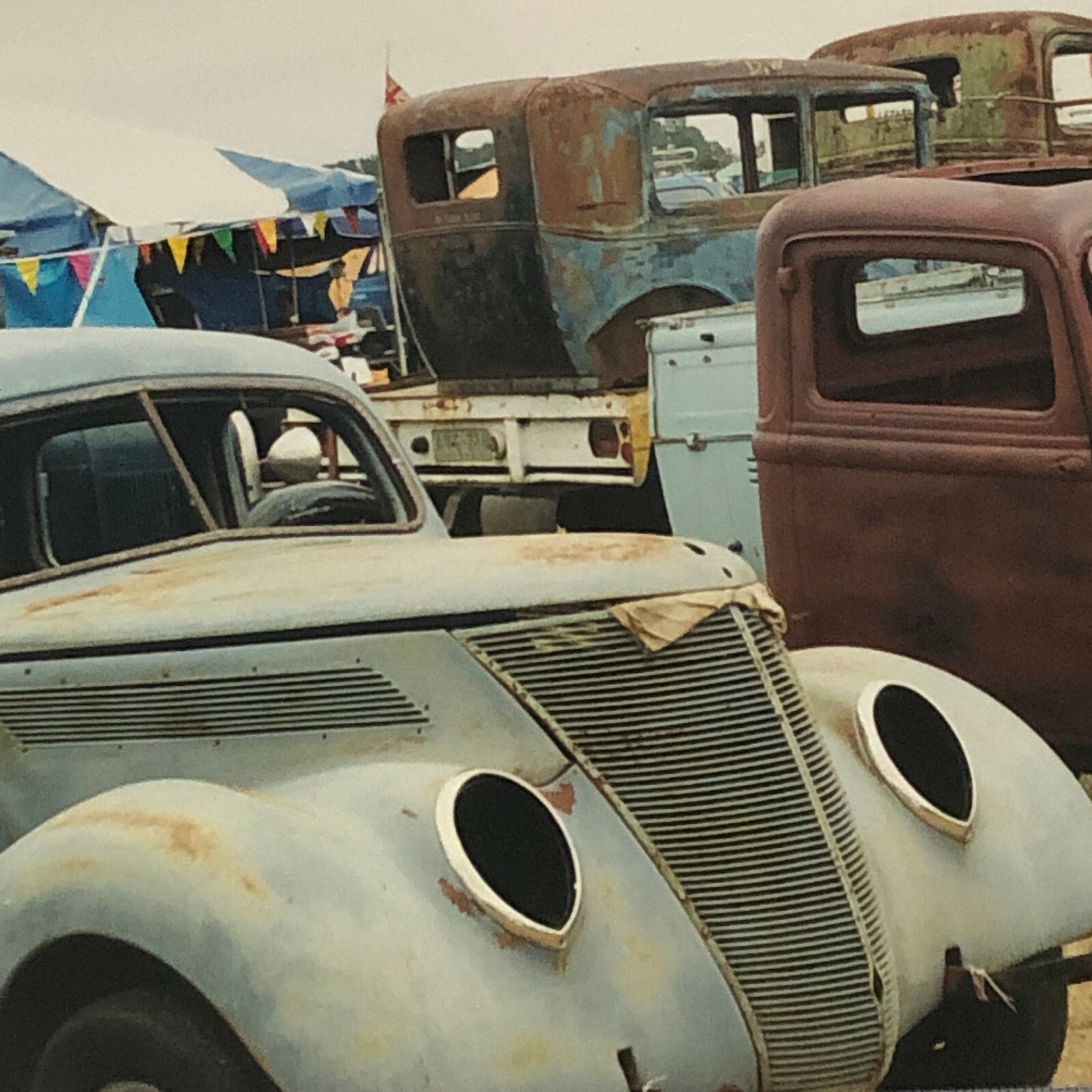 Vintage Ford V8 Cars Barn Find Junk Yard Photo Photograph Print 