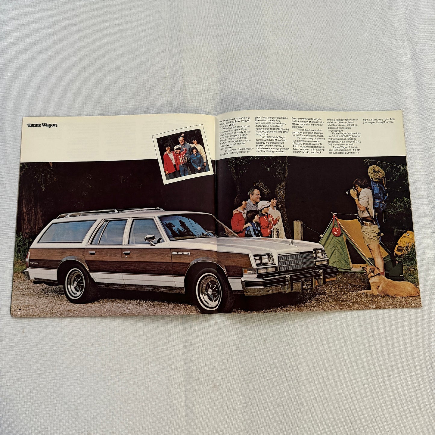 1979 Buick Sales Brochure Catalog LeSabre Electra Riviera
