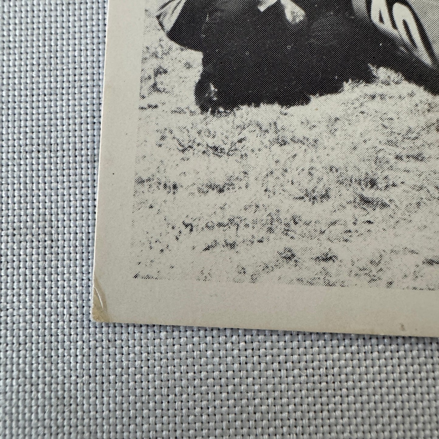 Vintage Racing Photograph Photo Card Print STP Racing Car