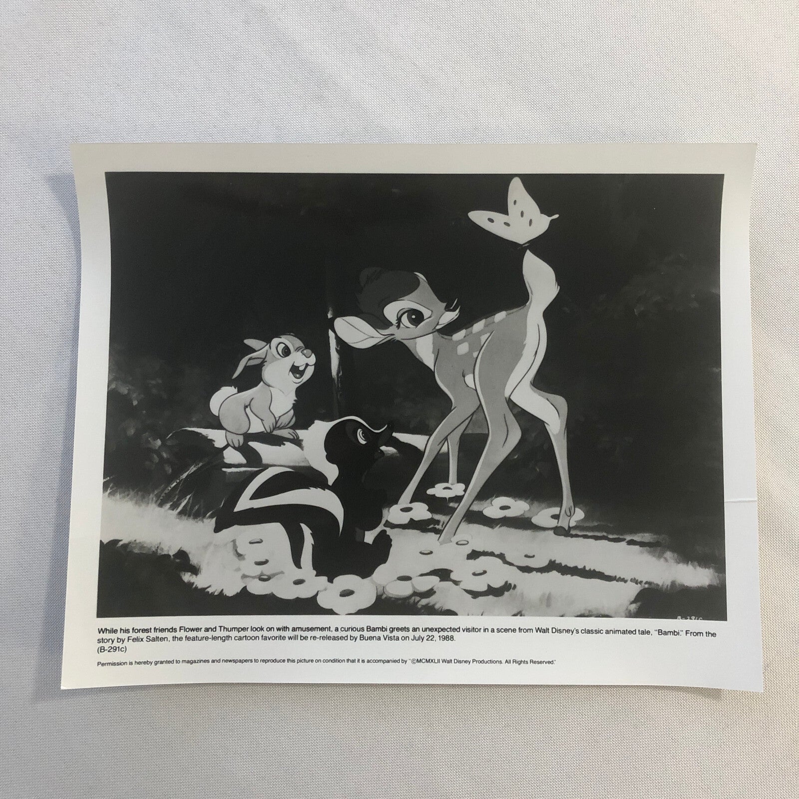 Bambi Flower Thumper Movie Film Re-Release Press Photo Photograph Walt Disney
