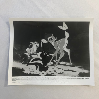 Bambi Flower Thumper Movie Film Re-Release Press Photo Photograph Walt Disney