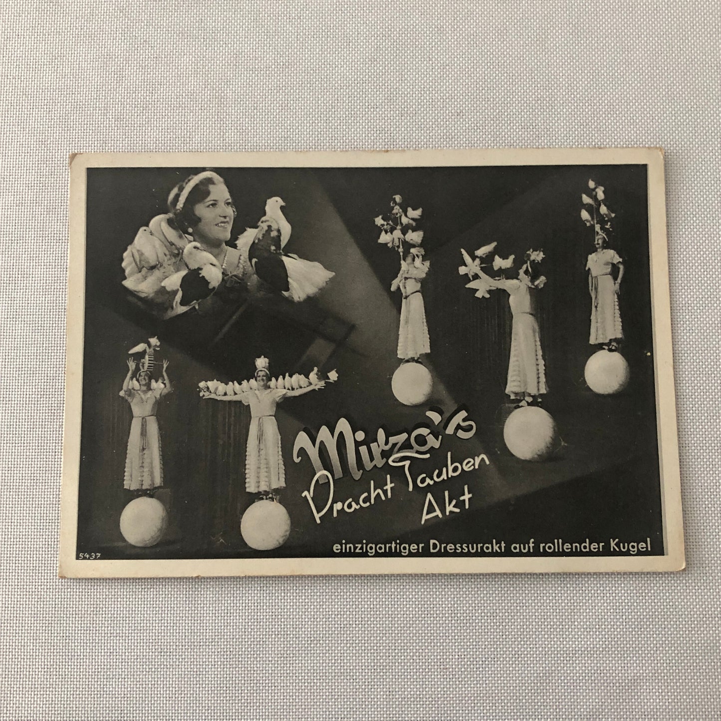 Circus Bird Training Act Postcard Post Card Vintage Mirza's Pracht Tauben Akt