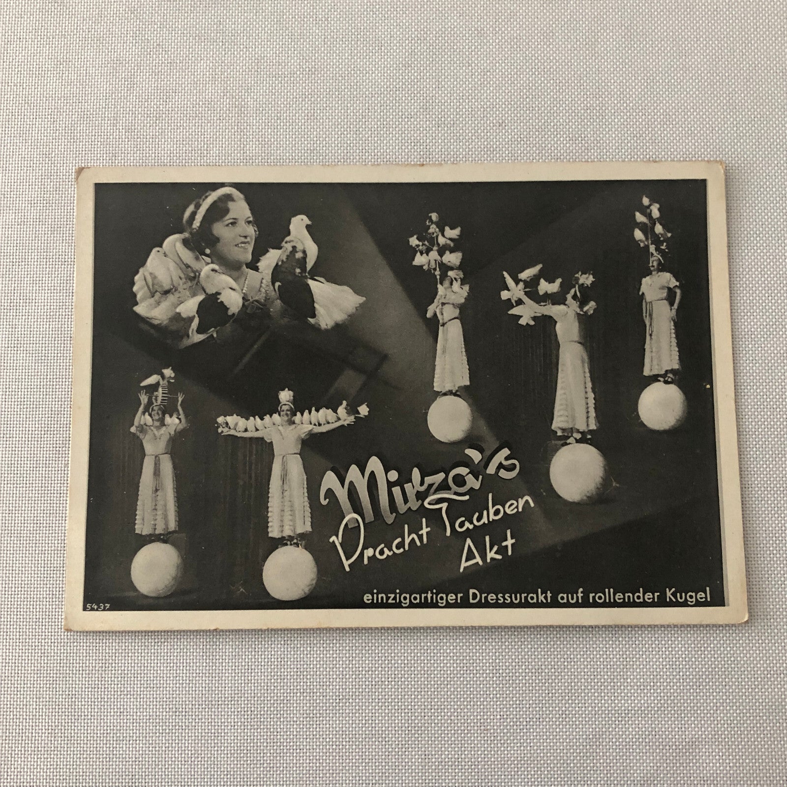 Circus Bird Training Act Postcard Post Card Vintage Mirza's Pracht Tauben Akt