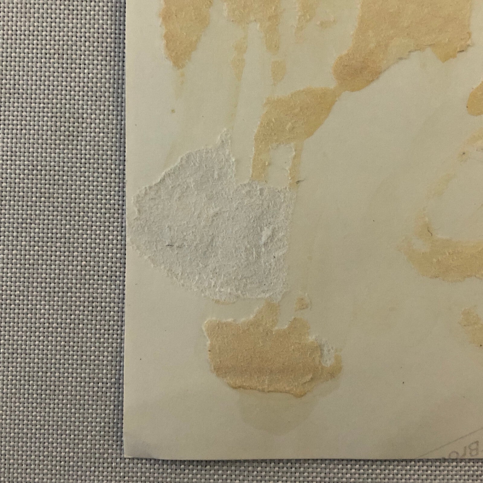 Vintage Motorcycle Racing Photo Photograph Germany