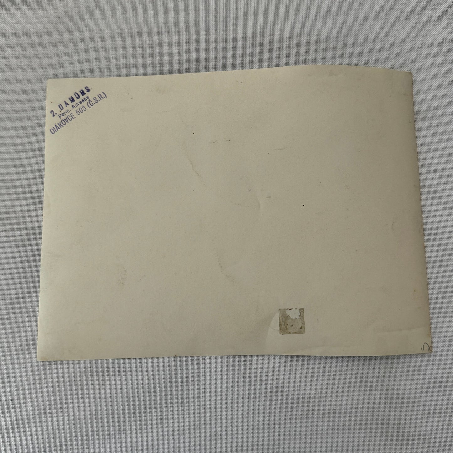 Vintage Circus Photo Damurs Performer Budapest Hungary Foto Holzel Photograph