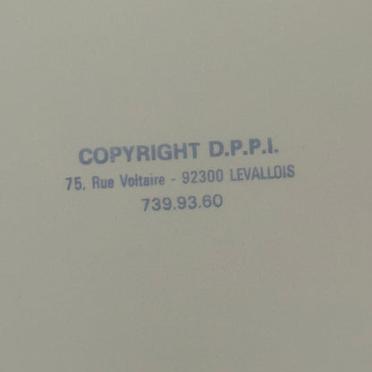 Porsche 911 Carrera 1980 Rallye Monte Carlo Press Photo Photograph DPPI Rally