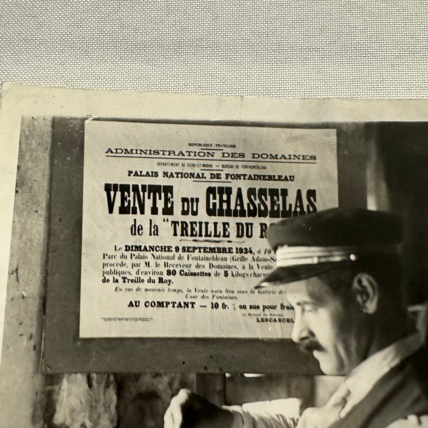French Press Photo Photograph Gardener Weighing Grapes 1934 Agence Trampus