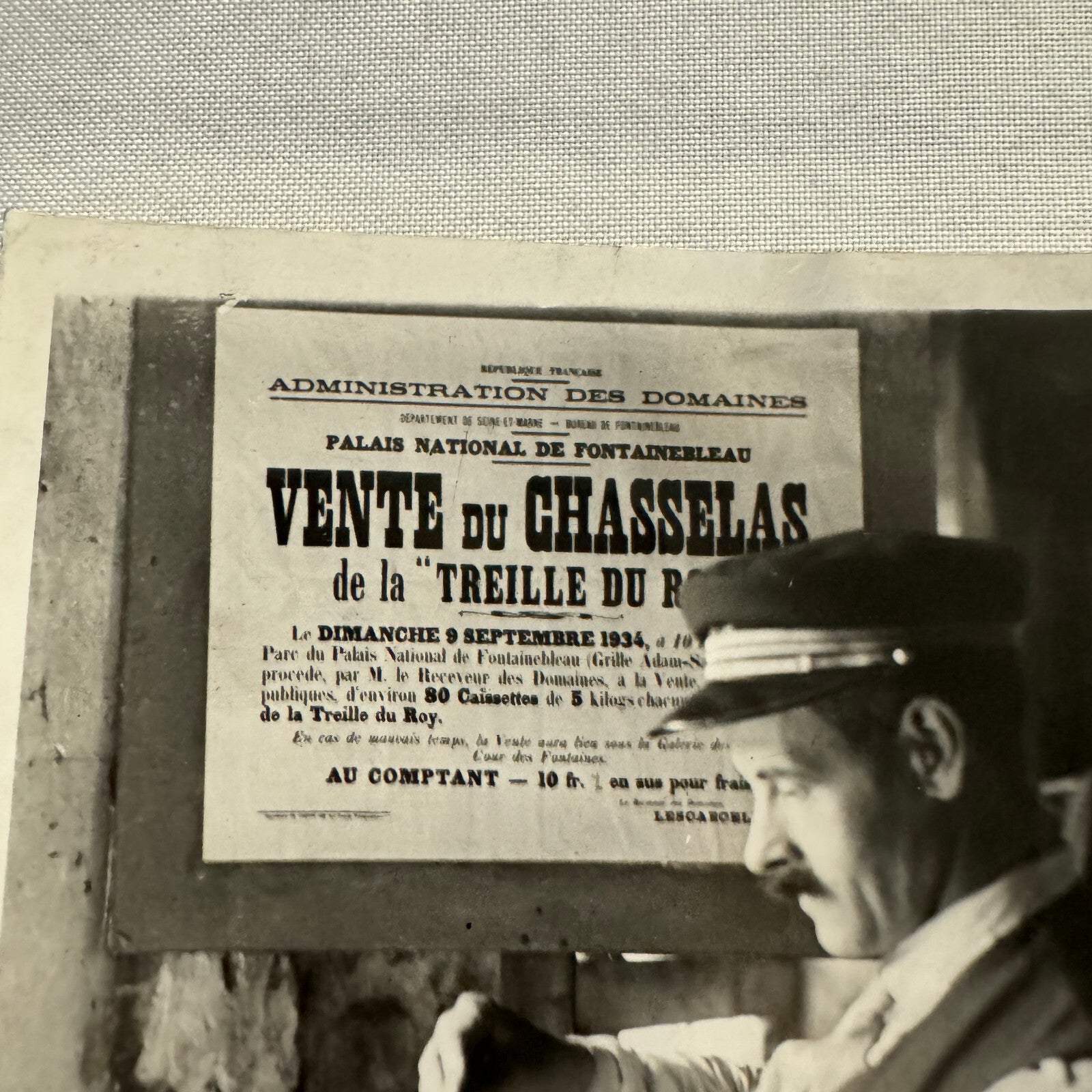 French Press Photo Photograph Gardener Weighing Grapes 1934 Agence Trampus