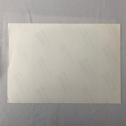 Vintage Indy Indianapolis Racing Photo Photograph Juan Montoya Win 2000