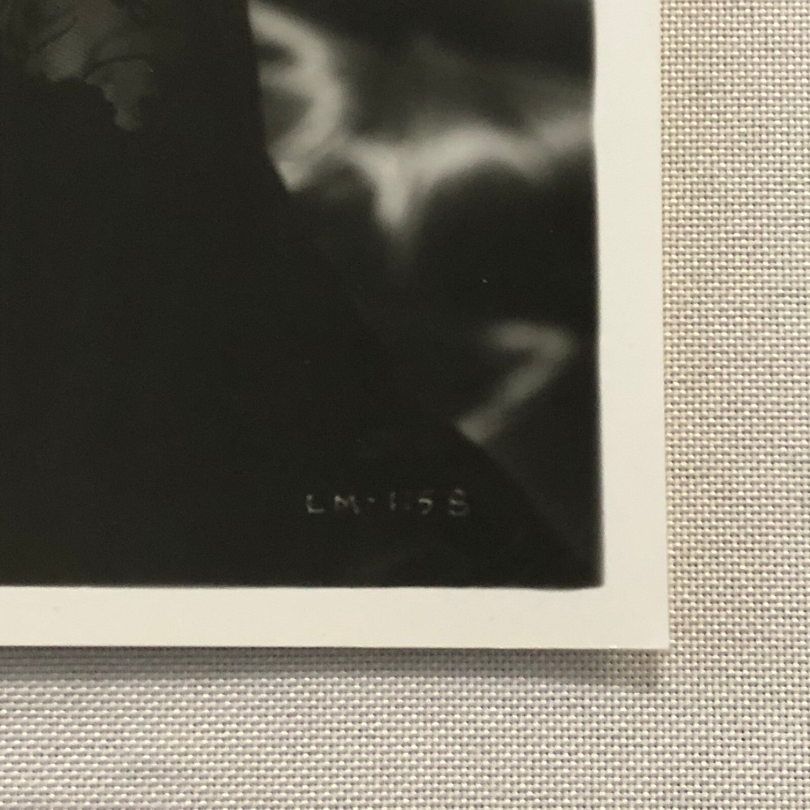 Lana Turner Hollywood Movie Star Actress Photo Photograph Print Beautiful