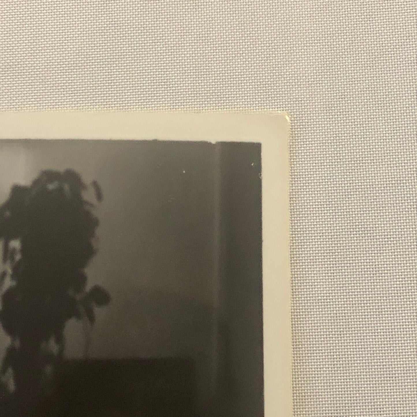 Actor Gary Cooper Photo Photograph Movie Still Casanova Brown Teresa Wright