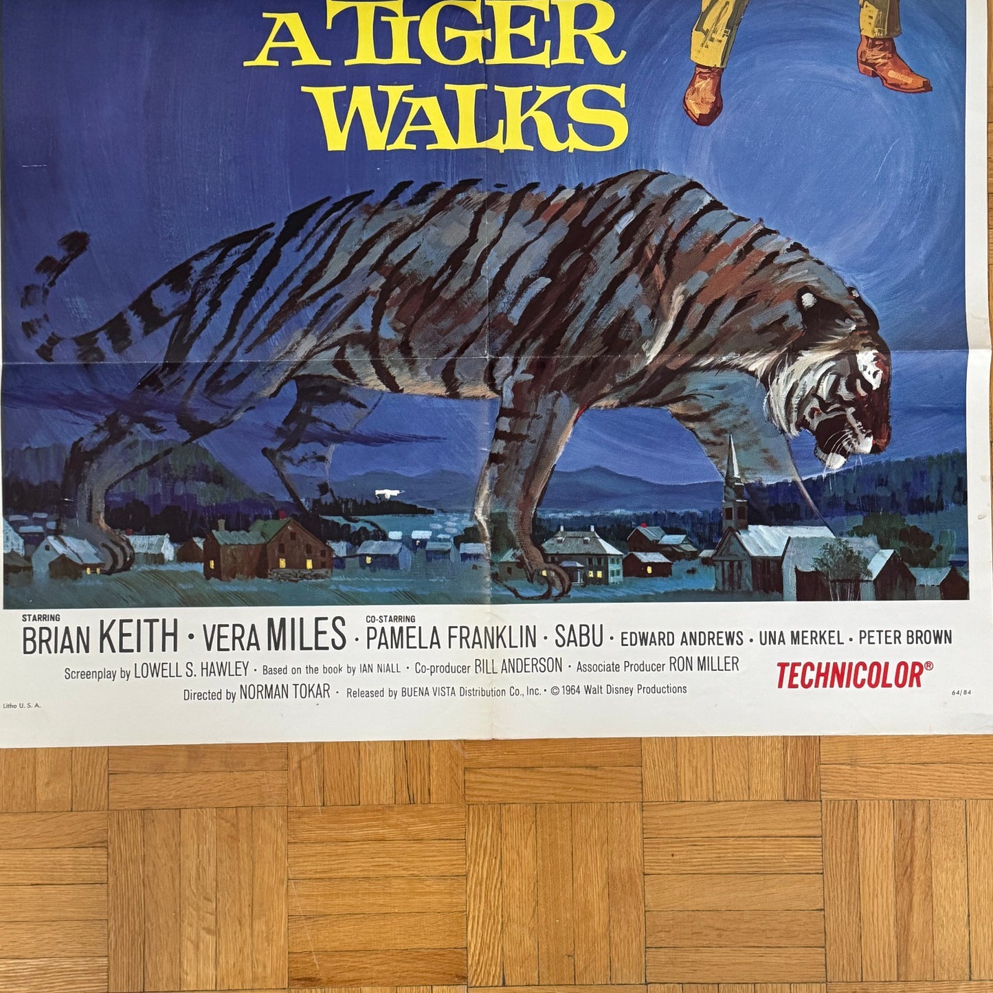 Vintage Disney Movie Poster A Tiger Walks 1964 Walt Disney Film