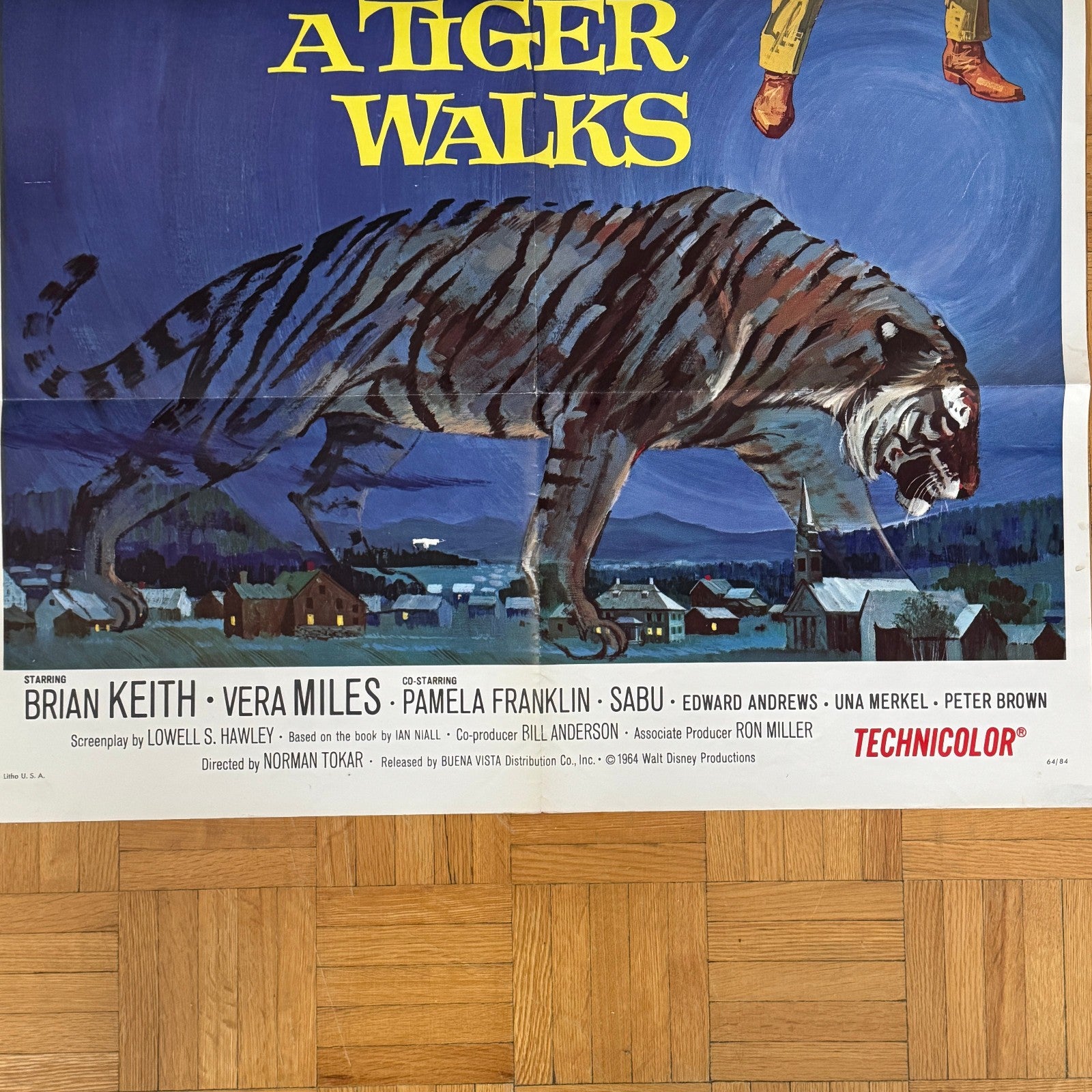 Vintage Disney Movie Poster A Tiger Walks 1964 Walt Disney Film