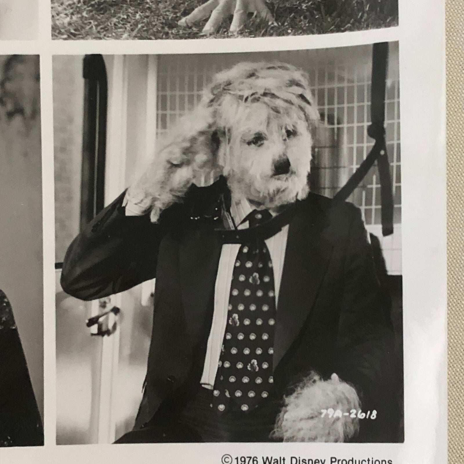 Walt Disney Channel The Shaggy D.A. Dog 1976 Press Photo Photograph Movie Film