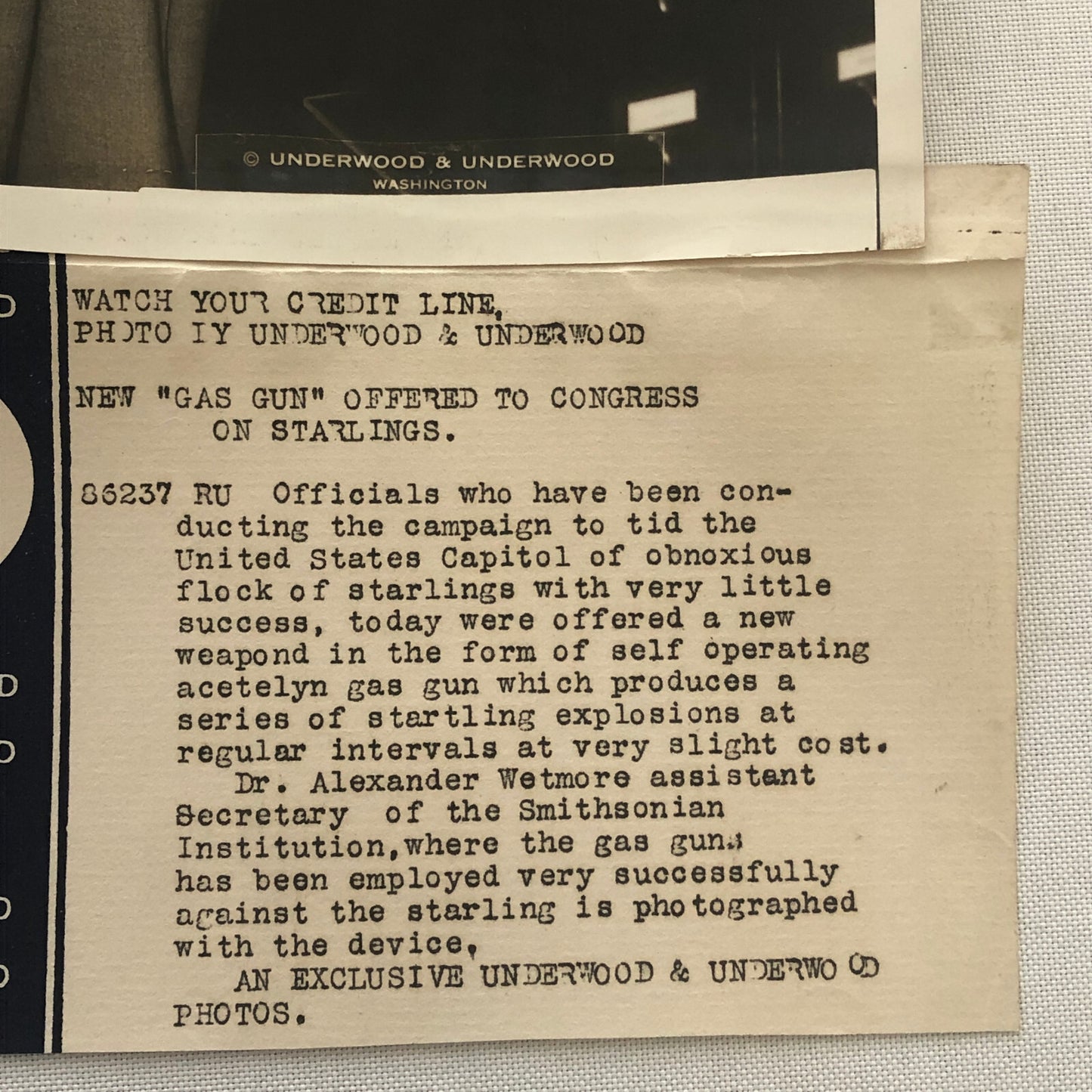 Press Photo Photograph Washington Gas Gun Proposal to Remove Starlings