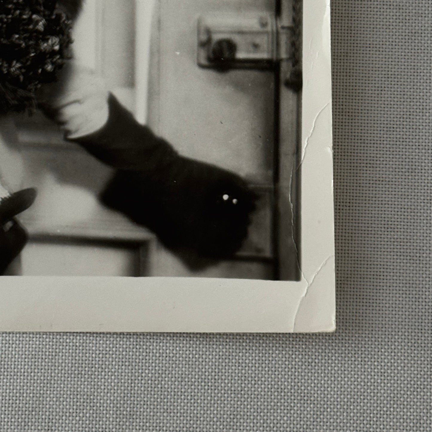 Vintage Movie Still Press Photo Photograph Marlene Dietrich Unidentified Actor