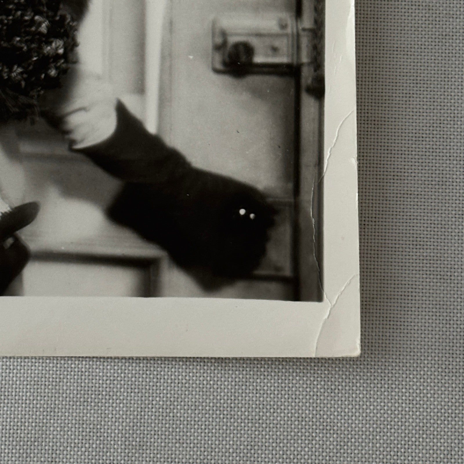 Vintage Movie Still Press Photo Photograph Marlene Dietrich Unidentified Actor