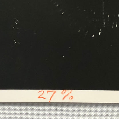 Vintage Movie Film Photo Photograph By Love Posessed Lana Turner