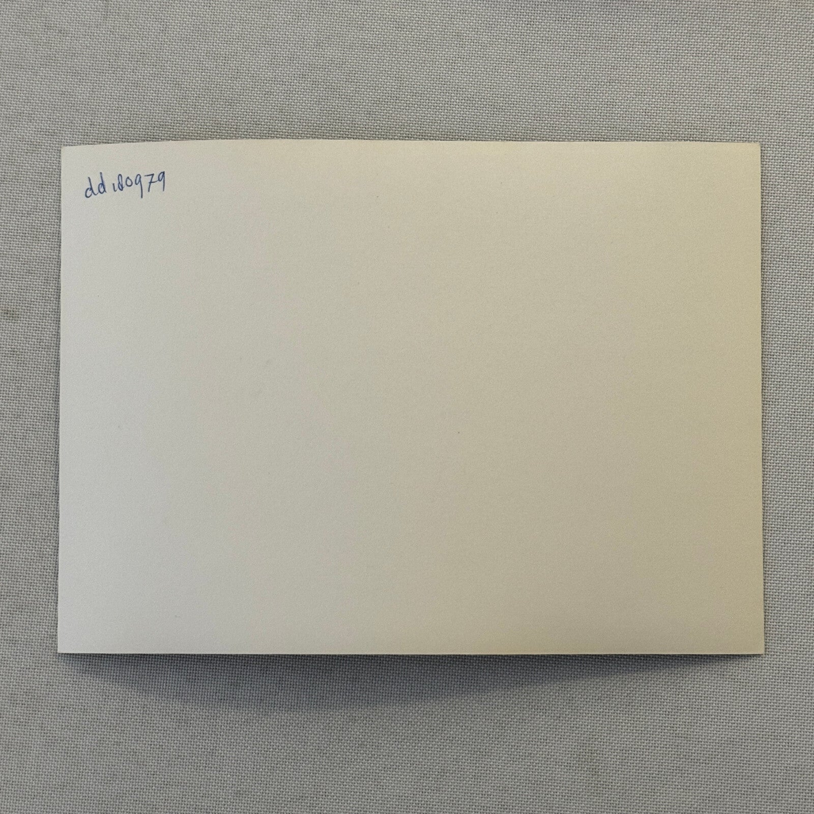 Porsche 924 and 924 Turbo Car Factory Press Photo Photograph Vintage